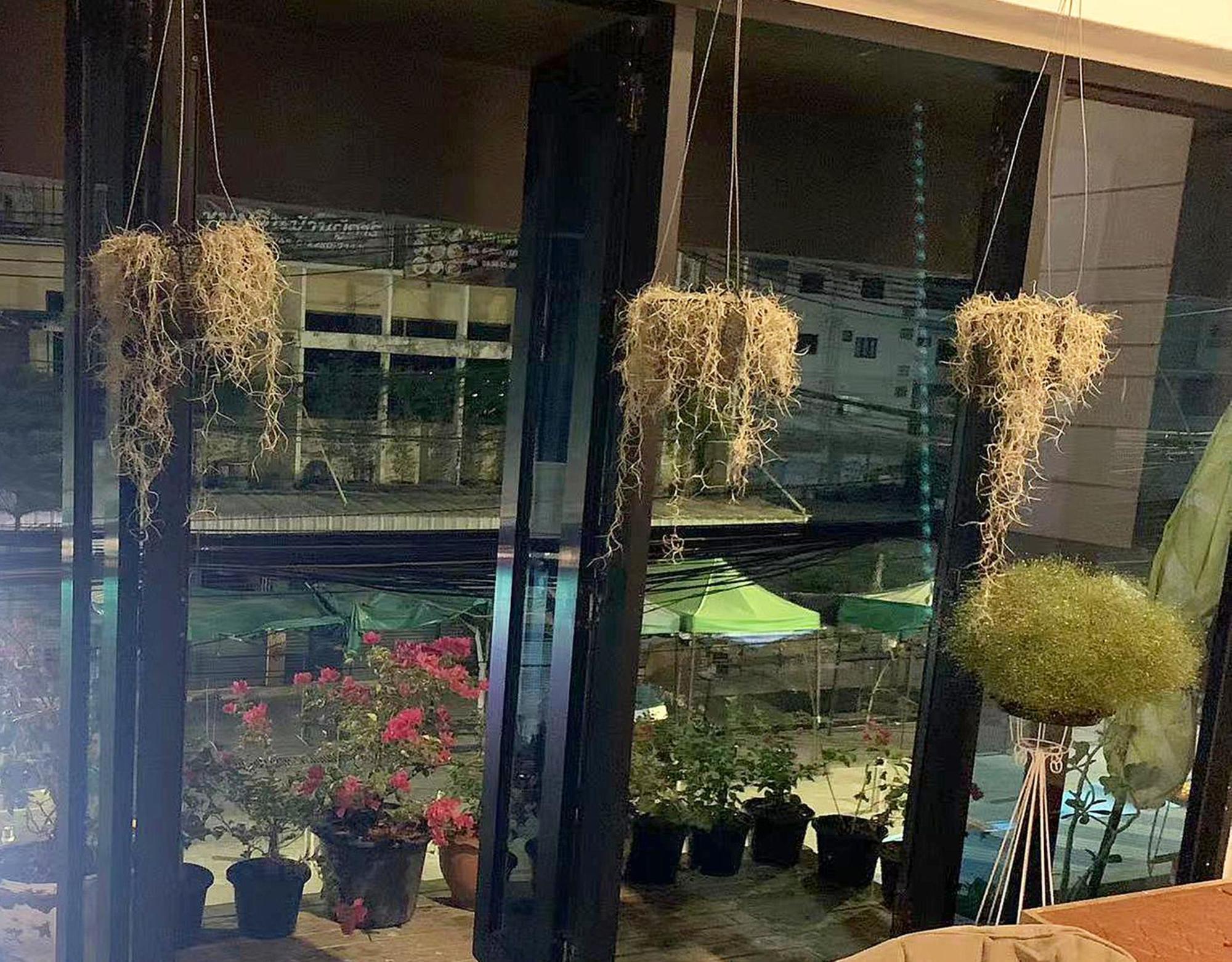 Susu Khaosan Hostel Bangkok Bagian luar foto